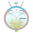 비쥬라식곡면시스템04.png